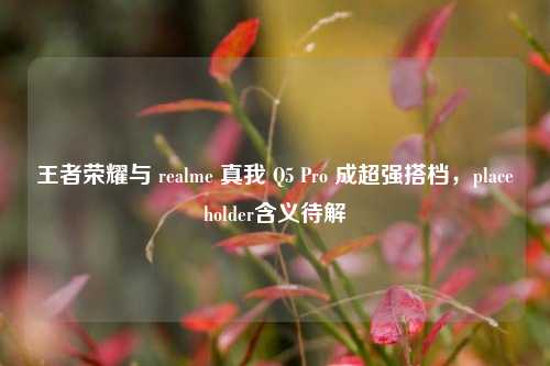 王者荣耀与 realme 真我 Q5 Pro 成超强搭档，placeholder含义待解