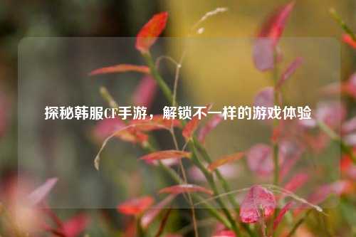 探秘韩服CF手游，解锁不一样的游戏体验