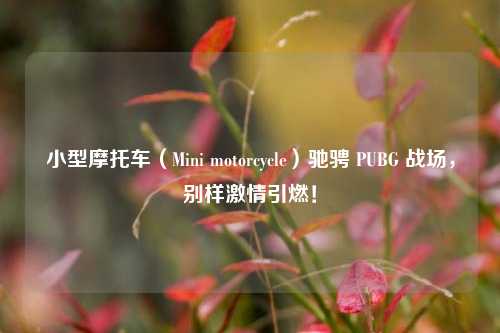 小型摩托车（Mini motorcycle）驰骋 PUBG 战场，别样激情引燃！
