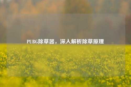 PUBG除草器,深入解析除草原理