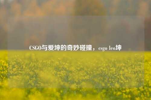 CSGO与爱坤的奇妙碰撞,csgo leo坤