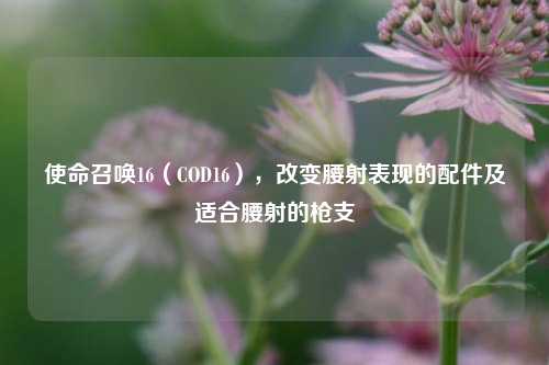 使命召唤16(COD16),改变腰射表现的配件及适合腰射的枪支
