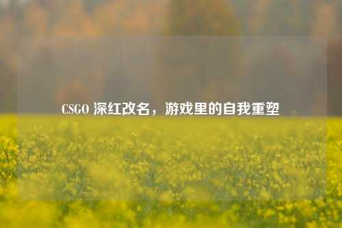 CSGO 深红改名,游戏里的自我重塑