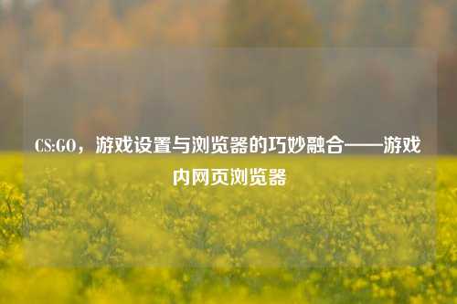 CS:GO，游戏设置与浏览器的巧妙融合——游戏内网页浏览器