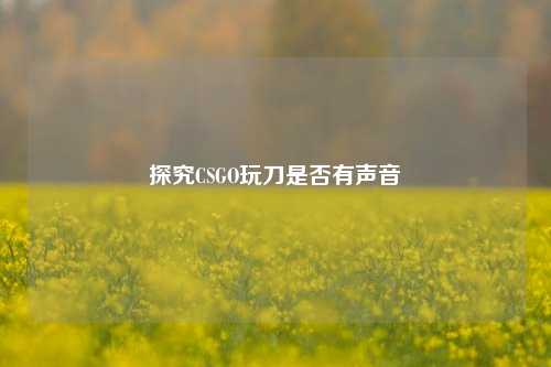 探究CSGO玩刀是否有声音