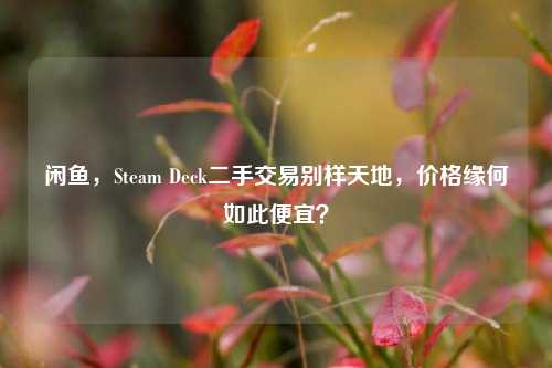 闲鱼,Steam Deck二手交易别样天地,价格缘何如此便宜?