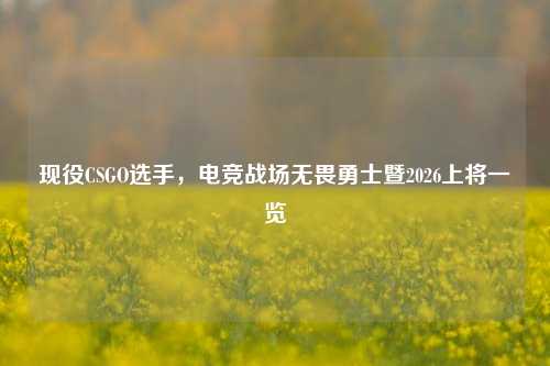 现役CSGO选手,电竞战场无畏勇士暨2026上将一览
