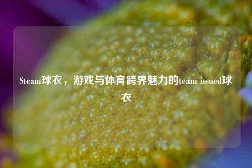 Steam球衣,游戏与体育跨界魅力的team issued球衣