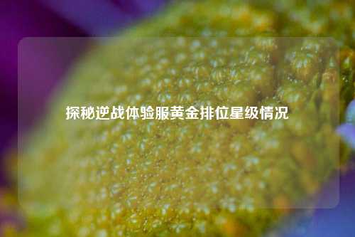 探秘逆战体验服黄金排位星级情况