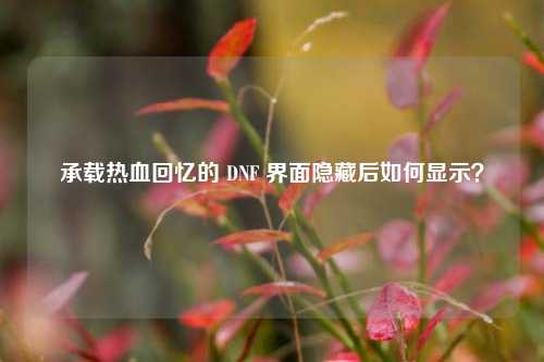 承载热血回忆的 DNF 界面隐藏后如何显示?
