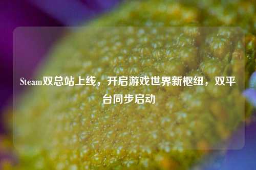 Steam双总站上线,开启游戏世界新枢纽,双平台同步启动