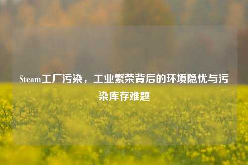 Steam工厂污染，工业繁荣背后的环境隐忧与污染库存难题