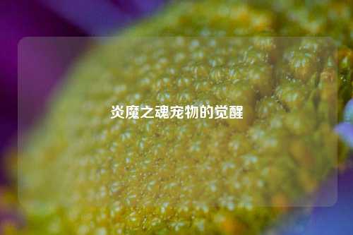 炎魔之魂宠物的觉醒