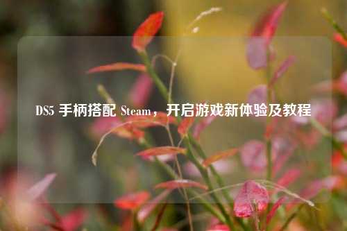 DS5 手柄搭配 Steam，开启游戏新体验及教程