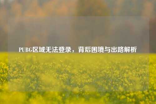 PUBG区域无法登录，背后困境与出路解析
