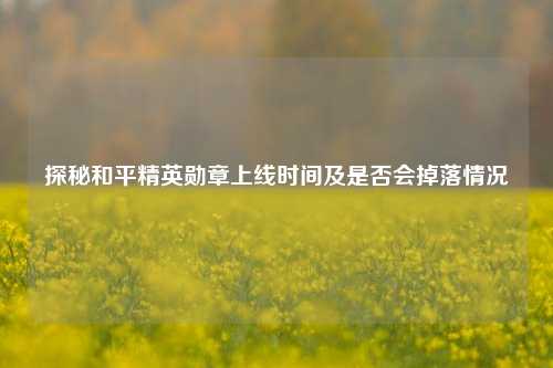 探秘和平精英勋章上线时间及是否会掉落情况
