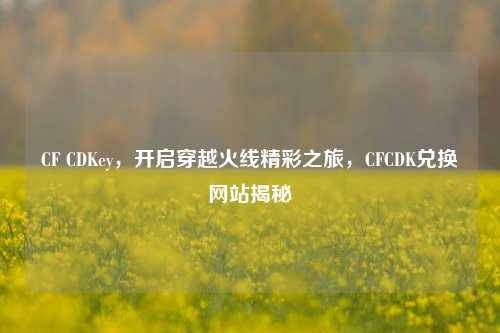 CF CDKey,开启穿越火线精彩之旅,CFCDK兑换网站揭秘