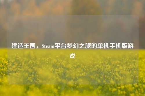 建造王国,Steam平台梦幻之旅的单机手机版游戏