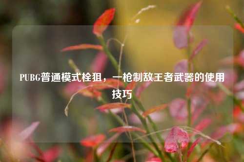 PUBG普通模式栓狙，一枪制敌王者武器的使用技巧