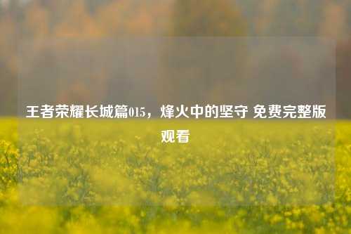 王者荣耀长城篇015，烽火中的坚守 免费完整版观看