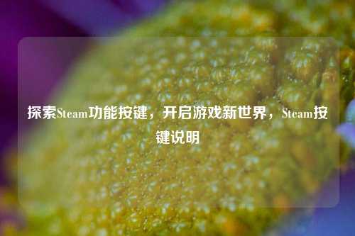 探索Steam功能按键,开启游戏新世界,Steam按键说明