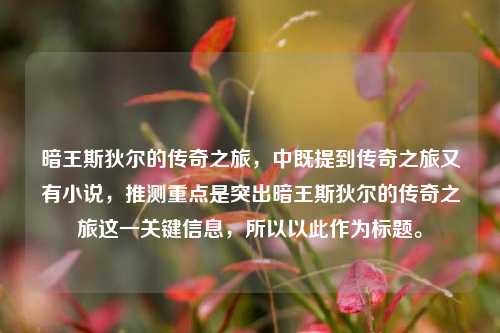 暗王斯狄尔的传奇之旅，中既提到传奇之旅又有小说，推测重点是突出暗王斯狄尔的传奇之旅这一关键信息，所以以此作为标题。