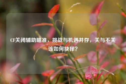 CF关闭辅助瞄准,挑战与机遇并存,关与不关该如何抉择?