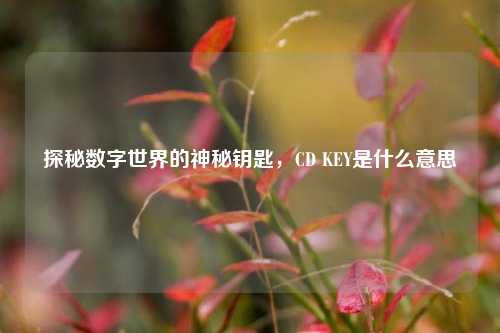 探秘数字世界的神秘钥匙,CD KEY是什么意思