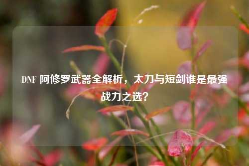DNF 阿修罗武器全解析,太刀与短剑谁是最强战力之选?