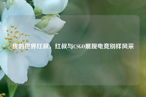 我的世界红叔，红叔与CSGO展现电竞别样风采