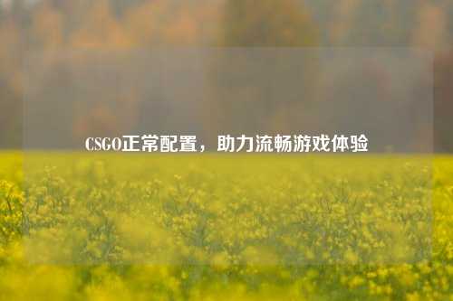 CSGO正常配置，助力流畅游戏体验