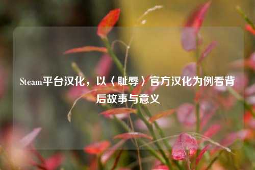Steam平台汉化,以〈耻辱〉官方汉化为例看背后故事与意义
