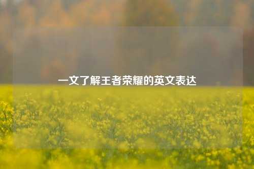 一文了解王者荣耀的英文表达