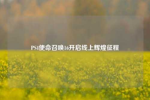 PS4使命召唤16开启线上辉煌征程