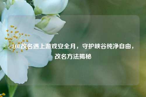 LOL改名遇上游戏安全月,守护峡谷纯净自由,改名方法揭秘
