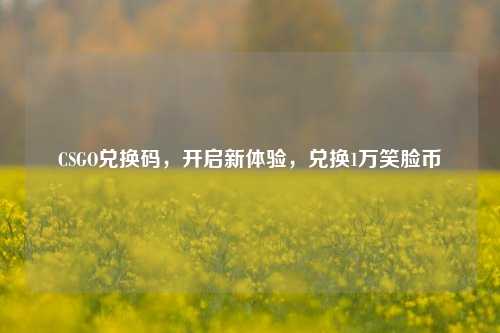 CSGO兑换码,开启新体验,兑换1万笑脸币