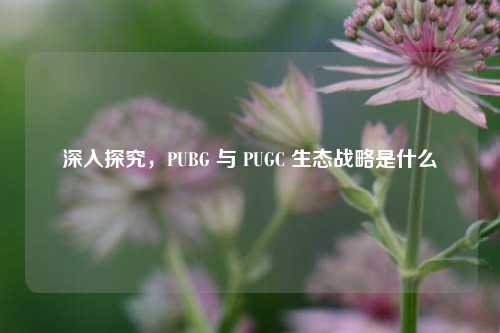 深入探究,PUBG 与 PUGC 生态战略是什么