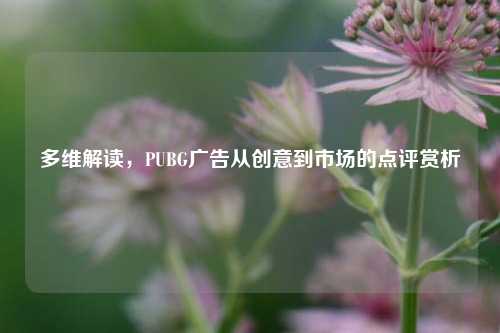 多维解读,PUBG广告从创意到市场的点评赏析