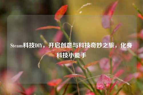 Steam科技DIY,开启创意与科技奇妙之旅,化身科技小能手