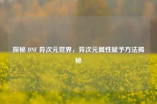 探秘 DNF 异次元世界,异次元属性赋予方法揭秘