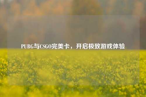 PUBG与CSGO完美卡，开启极致游戏体验