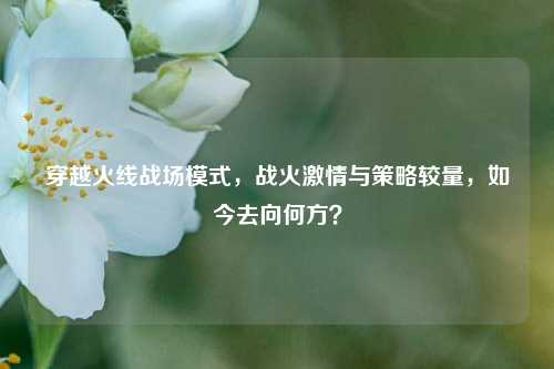 穿越火线战场模式,战火激情与策略较量,如今去向何方?