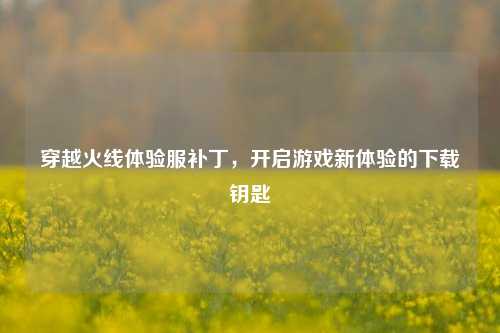 穿越火线体验服补丁，开启游戏新体验的下载钥匙