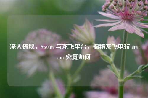 深入探秘,Steam 与龙飞平台,揭秘龙飞电玩 steam 究竟如何