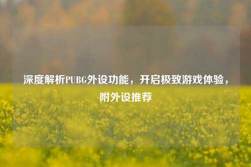 深度解析PUBG外设功能，开启极致游戏体验，附外设推荐