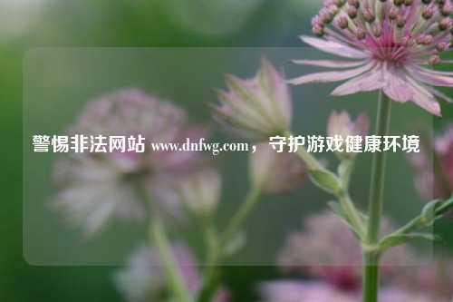 警惕非法网站 www.dnfwg.com,守护游戏健康环境