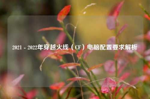 2021 - 2022年穿越火线(CF)电脑配置要求解析