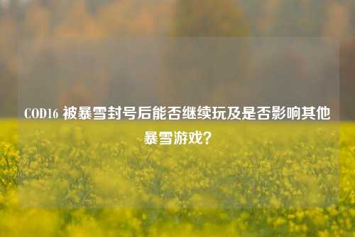 COD16 被暴雪封号后能否继续玩及是否影响其他暴雪游戏?