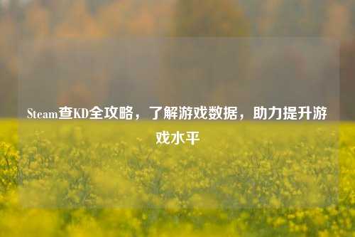 Steam查KD全攻略,了解游戏数据,助力提升游戏水平