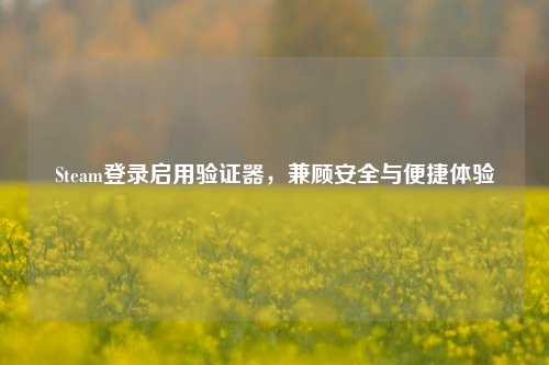 Steam登录启用验证器，兼顾安全与便捷体验